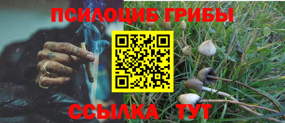 Галлюциногенные грибы GOLDEN TEACHER Асино