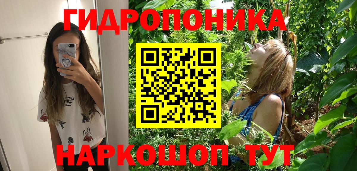 Шишки марихуана семена Асино